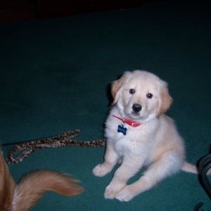 Meet your Posher, Michele